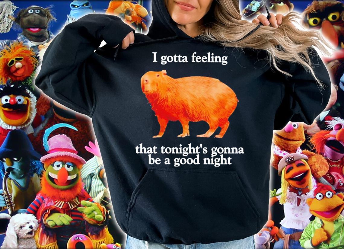 Capybara I gotta feeling that tonight's gonna be a good night shirt t-shirt hoodie