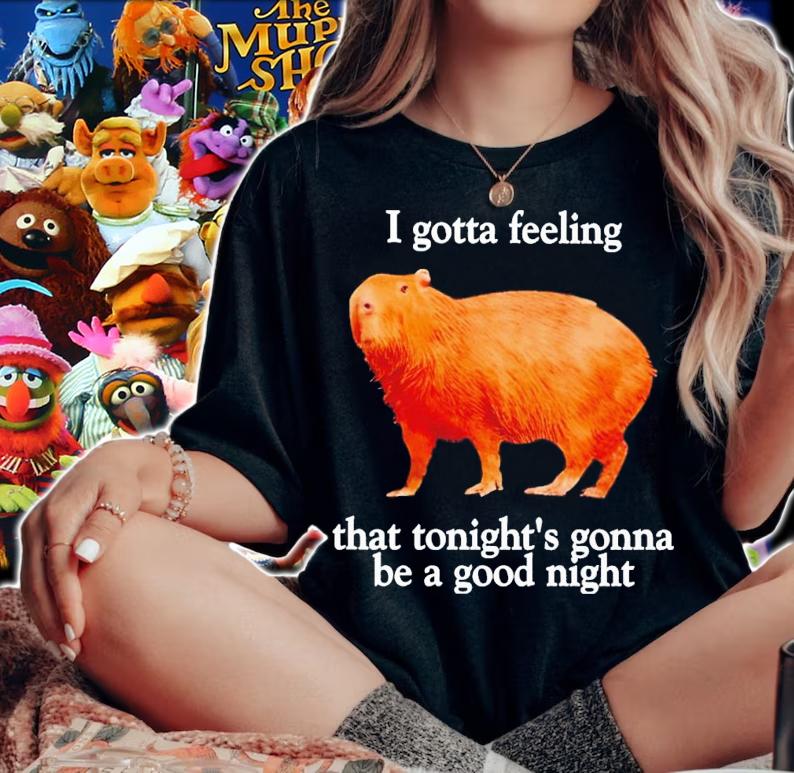 Capybara I gotta feeling that tonight's gonna be a good night shirt t-shirt woman shirt