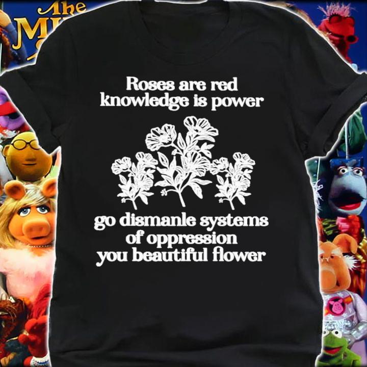Roses Are Red Knowledge Is Power Go Dismanle Systems T-Shirt t-shirt