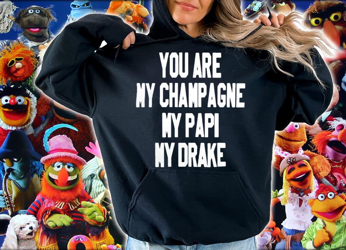 You Are My Champagne My Papi My Drake T-Shirt t-shirt