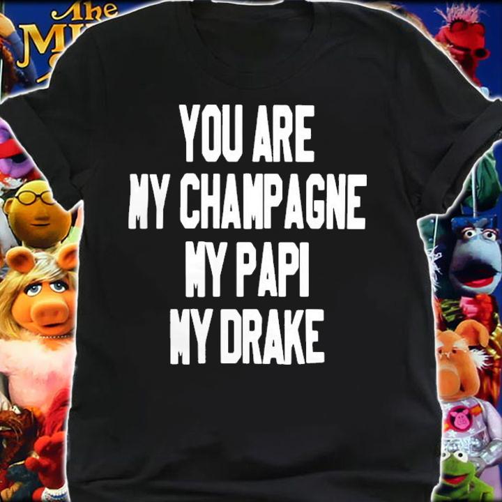 You Are My Champagne My Papi My Drake T-Shirt t-shirt