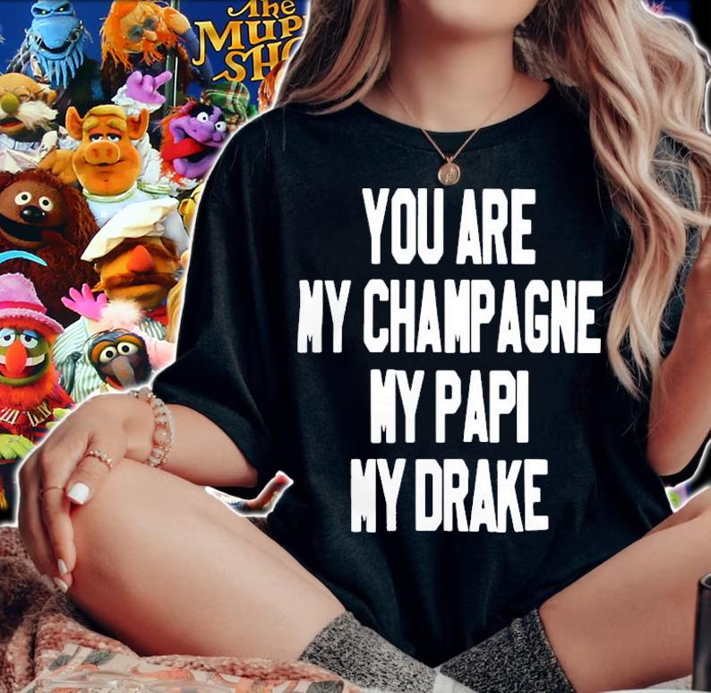 You Are My Champagne My Papi My Drake T-Shirt t-shirt