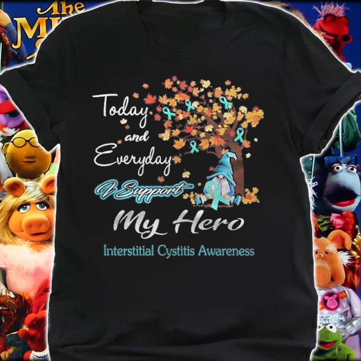 Today and everyday i support my hero shirt t-shirt shirt