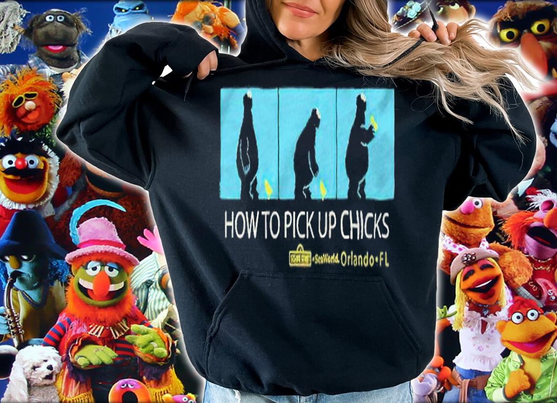 How To Pick Up Chicks T-Shirt t-shirt