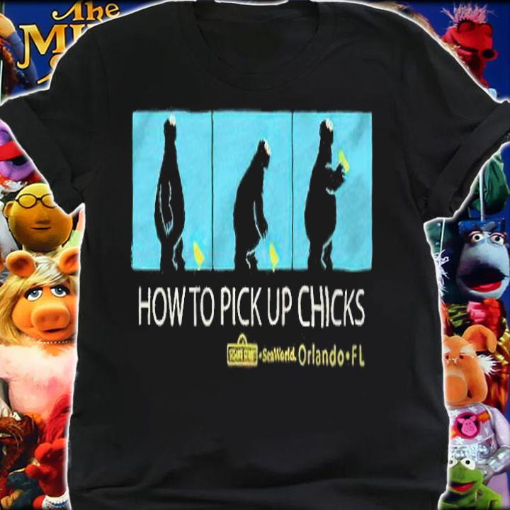 How To Pick Up Chicks T-Shirt t-shirt